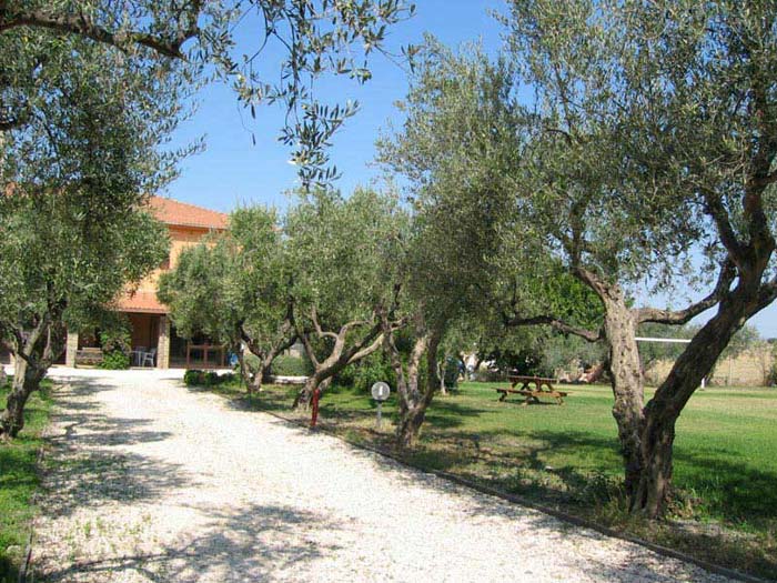 Casale Shala garden in the Tuscan countryside
